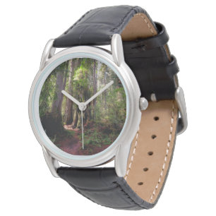 Montre Forêt Redwood Forest Californie