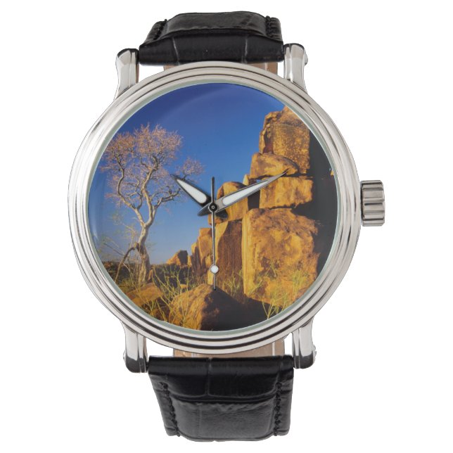 Montre Formation rocheuse et arbre, terrain de jeu du géa (devant)