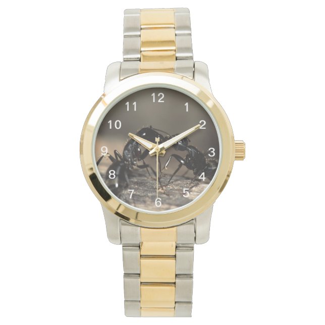 Montre fourmis s'embrasser (devant)