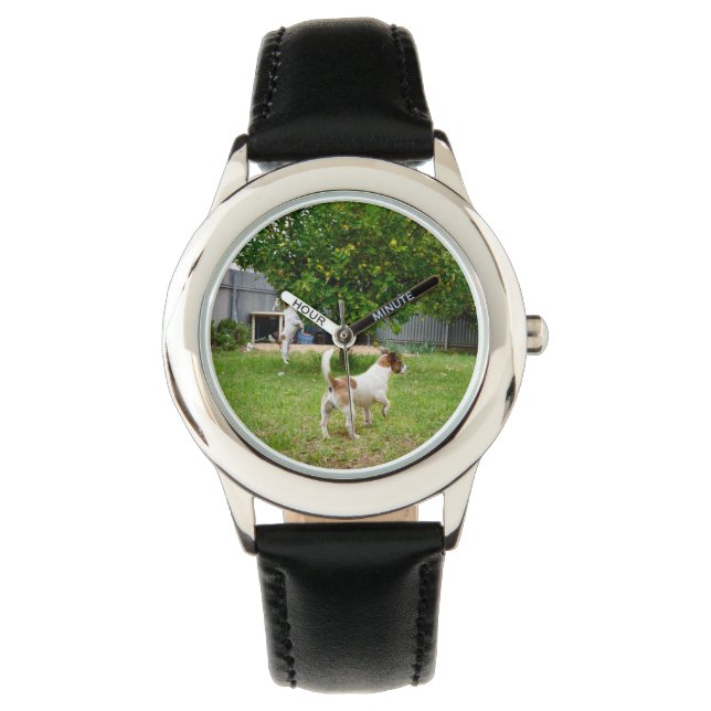 Montre Fox Terrier Jouant Dans Le Jardin, (devant)