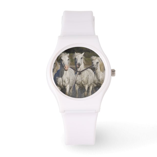 Montre France, Camargue. Les chevaux courent (Recto)