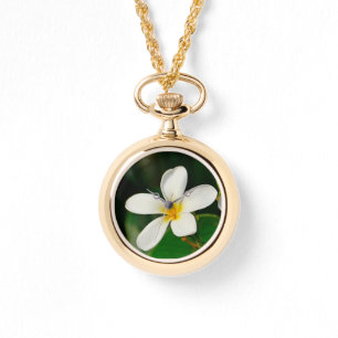 Montre Frangipani blanc