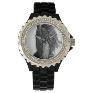 Montre Friesian Stallion au vent.