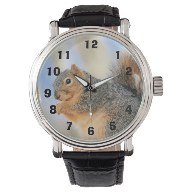 Montre Furball d'aujourd'hui (devant)