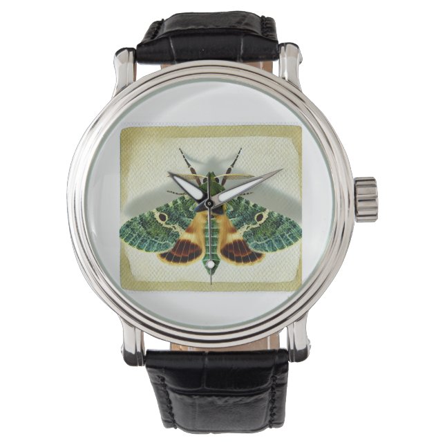 Montre gelechiid moth 220924IREF212 - Watercolor (devant)
