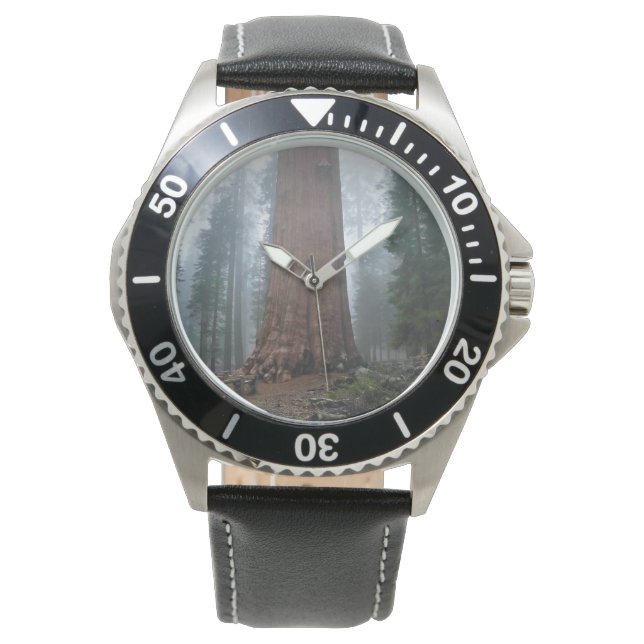 Montre Général Sherman Tree, Sequoia, CA (devant)