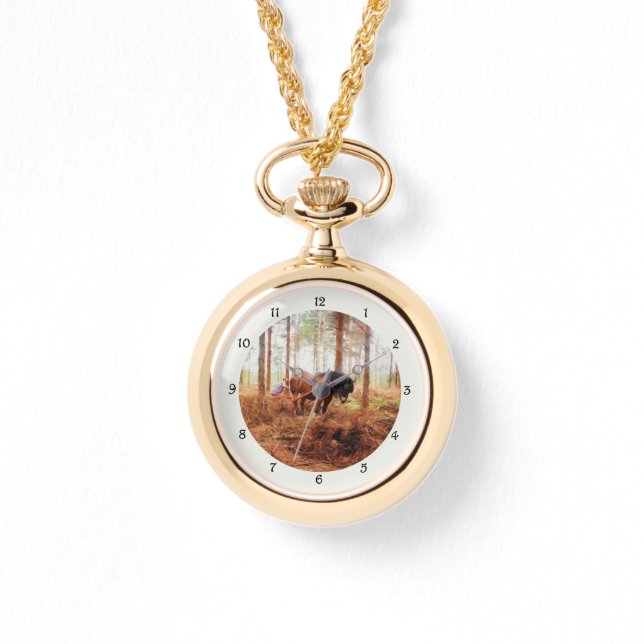 Montre Gentle Giant (Recto)