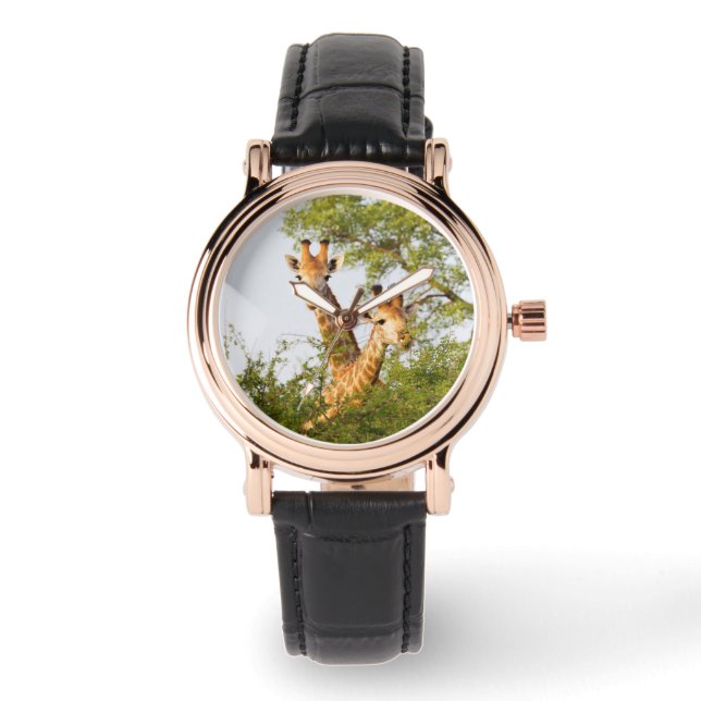 Montre Girafes dépassant la végétation (Recto)