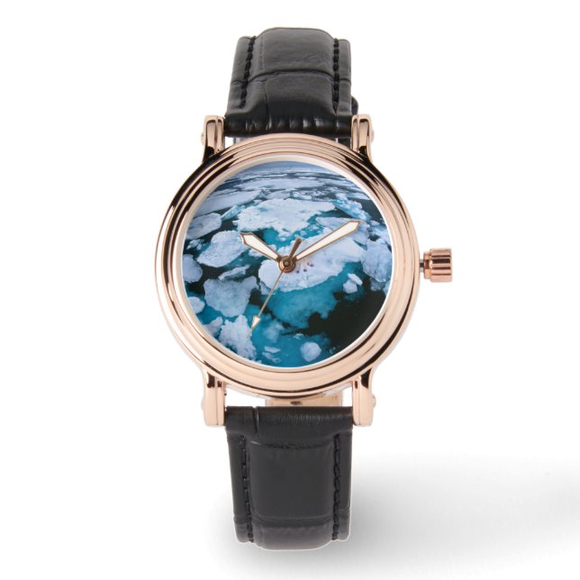 Montre Glace et neige | Ours polaire, Océan Arctique, Sva (Recto)