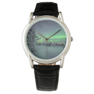 Montre Glace et neige   Parc national de Pallas-Yllastunt