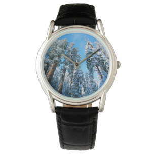 Montre Glace et neige Parc national de Sequoia, Califor