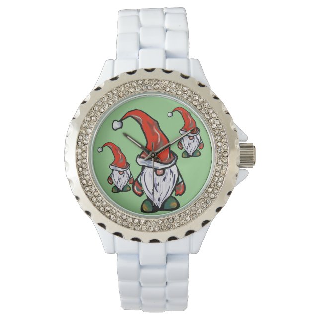 MONTRE GNOMES (devant)