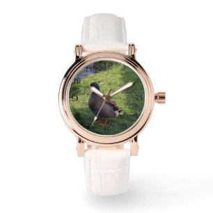 Montre Gogo Solo : Canard colorié Brown,
