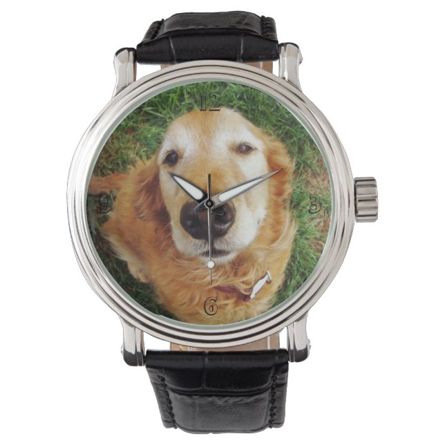 Montre Golden Retriever (devant)