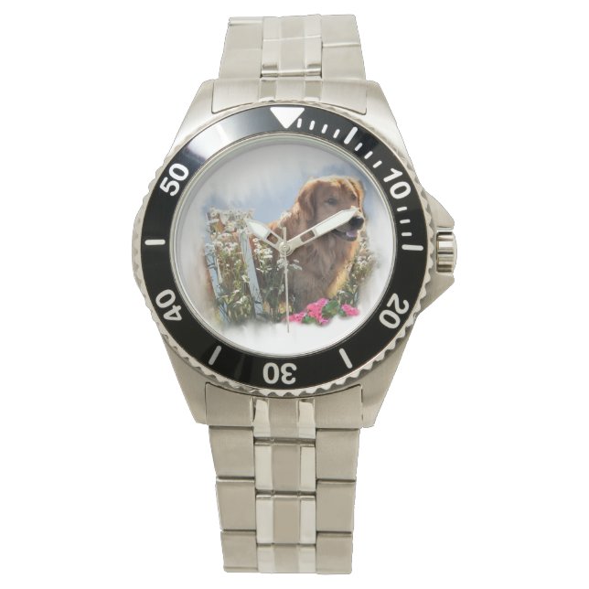 Montre Golden retriever (devant)
