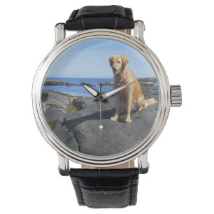 Montre Golden Retriever