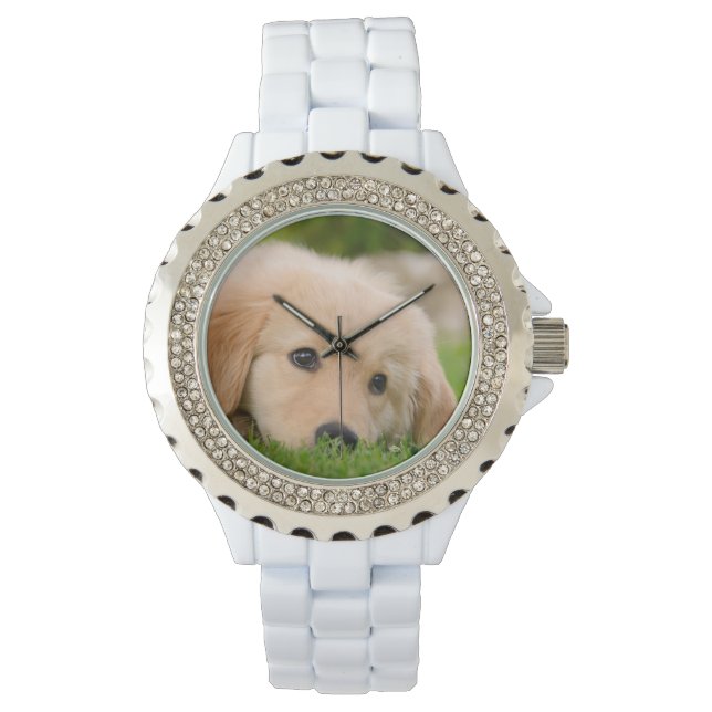 Montre Golden Retriever mignon chiot rêve Portrait fille (devant)