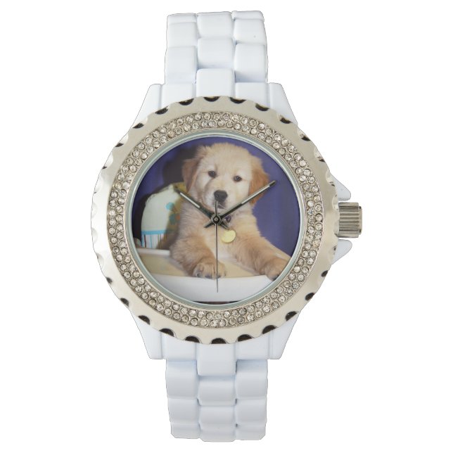 Montre Golden Retriever Puppy en chaise haute (devant)
