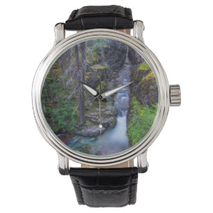 Montre Gorge de Sunrift dans le parc national de Glacier,