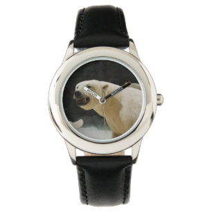 Montre Graine d'ours polaire