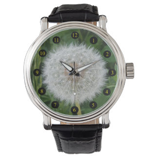 Montre Graines de Dandelion