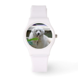 Montre Grand chien blanc de Pyrénées