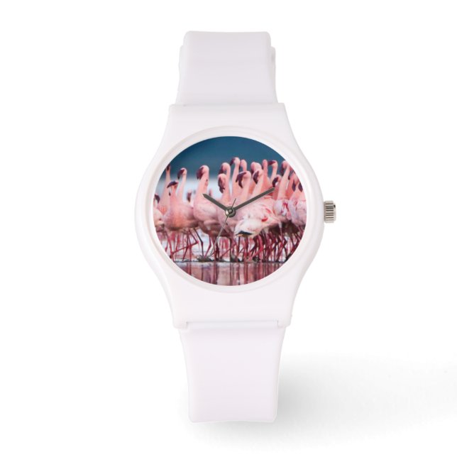 Montre Grand Groupe De Flamants Nains (Recto)