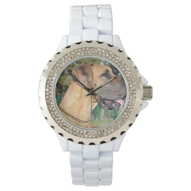 Montre Grande Dane (devant)
