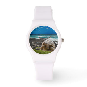 Montre Grande tortue au bord de l'eau