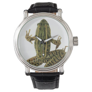 Montre Grenouille 2