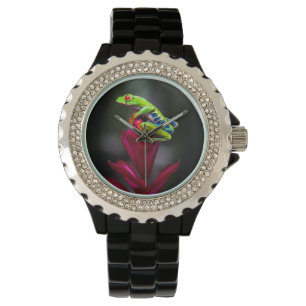 Montre Grenouille aux yeux rouges