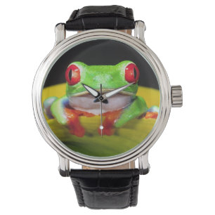Montre Grenouille aux yeux rouges, Agalychinis callidryas