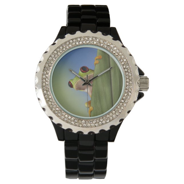 Montre Grenouille rouge Tre Peeking de derrière une feuil (devant)