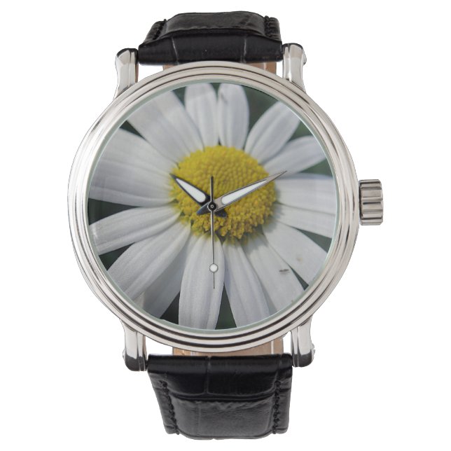 Montre Gros Blancs (devant)