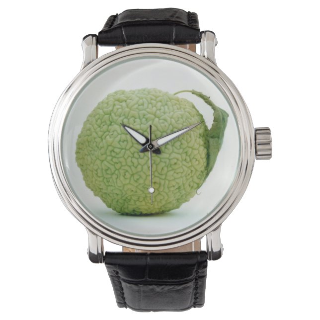 Montre Gros héraut vert (devant)