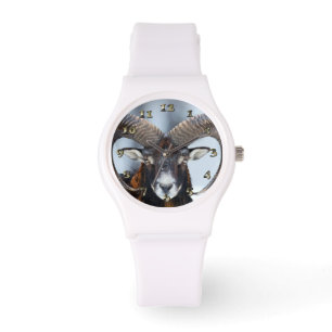 Montre Gros mouton de bélier à corne - Mouflon
