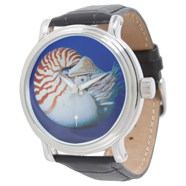 Montre Gros Plan De Chambres Nautilus (Incliné)