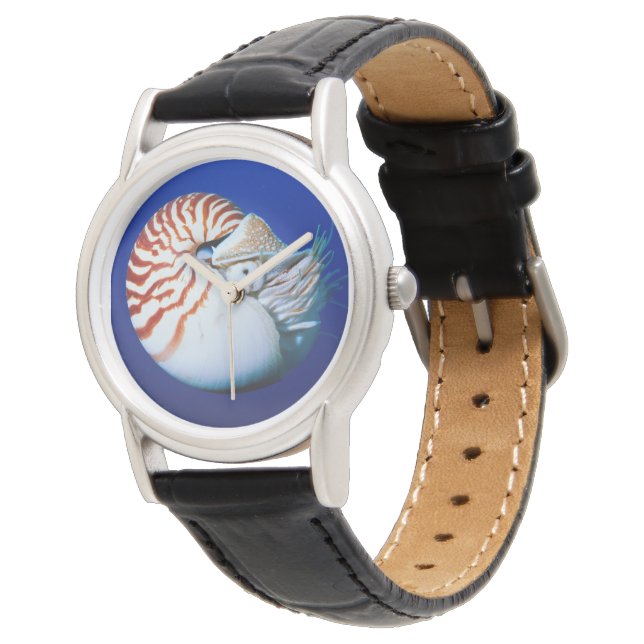 Montre Gros plan de nautile à chambre (Incliné)