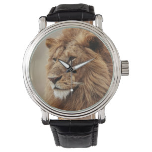 Montre Gros plan du lion mâle