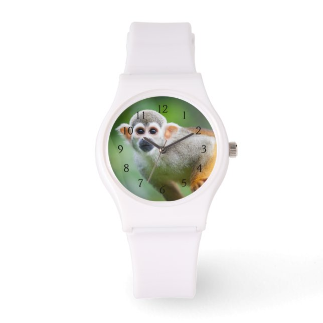 Montre Gros plan d'un singe écureuil commun (Recto)