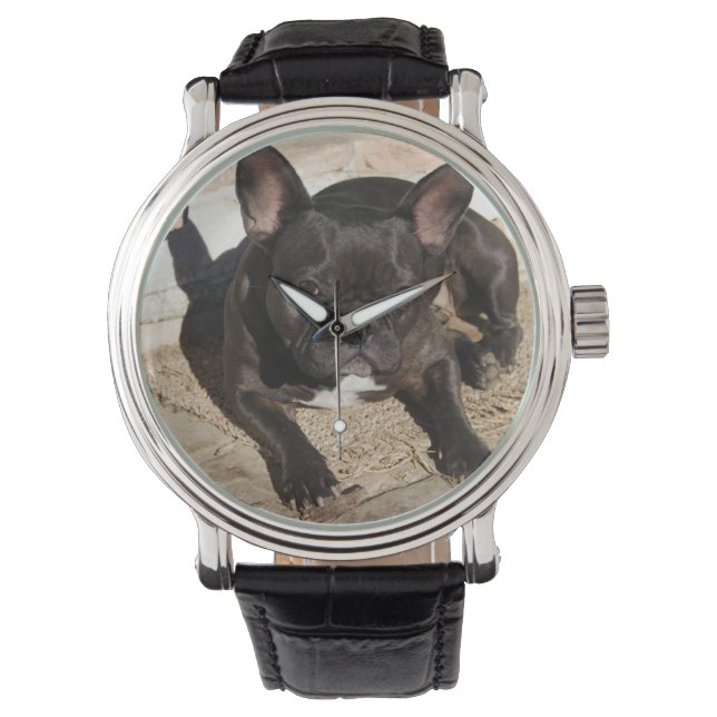 Montre Grouchy French Bulldog (devant)