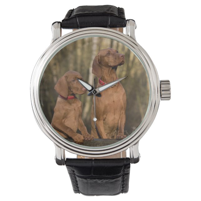 Montre groupe vizsla (devant)