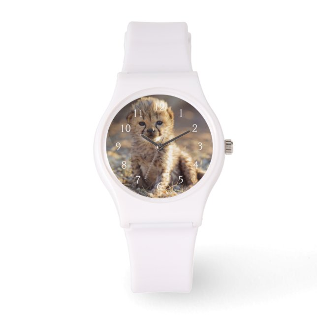 Montre Guépard mâle âgé de 19 jours (Recto)
