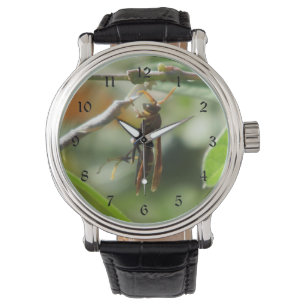 Montre Guêpe