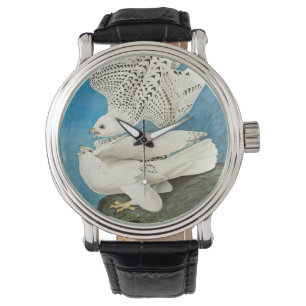 Montre Gyrfalcons, également appelés Gerfalcons par John