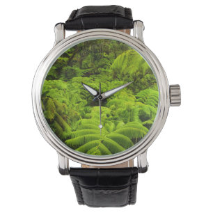 Montre Hawaii, Grande Ile, Verdure tropicale luxuriante d