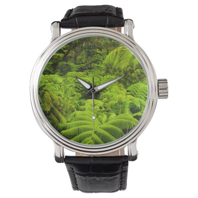 Montre Hawaii, Grande Ile, Verdure tropicale luxuriante d (devant)