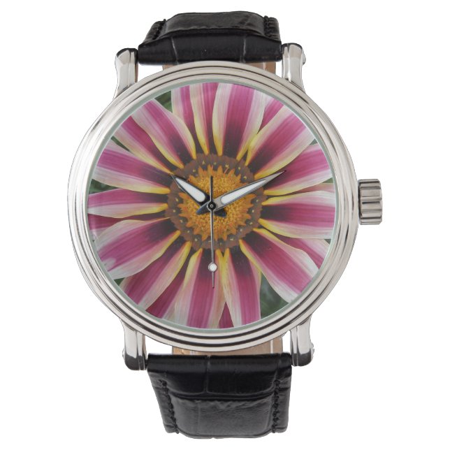 Montre Hereford (devant)