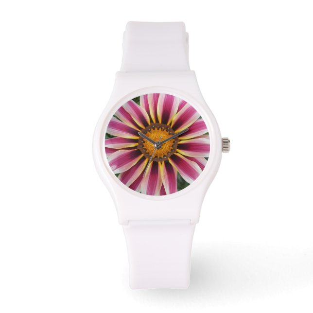 Montre Hereford (Recto)