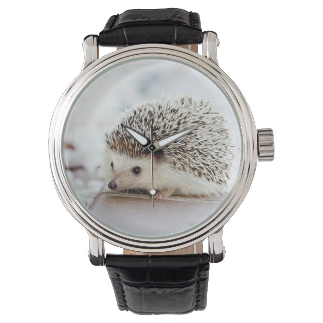 Montre Hérisson bébé mignon (devant)